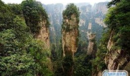 张家界爆料视频最新一期,揭秘神秘景点背后的故事